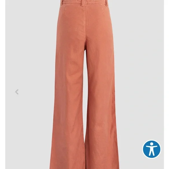 Hudson Size 34 Drawstring Bronze Pants NWT - Picture 7 of 9